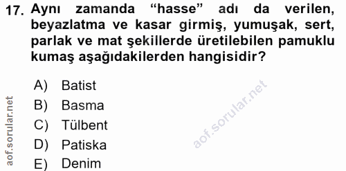Soru 17