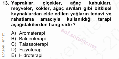 Soru 13