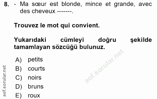 Soru 8