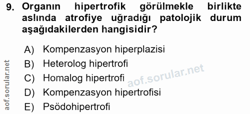Soru 9
