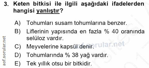 Soru 3