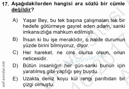 Soru 17