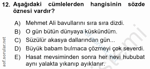 Soru 12