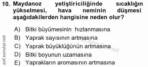 Soru 10