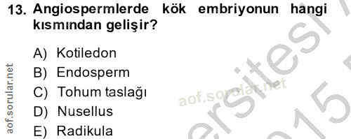 Soru 13