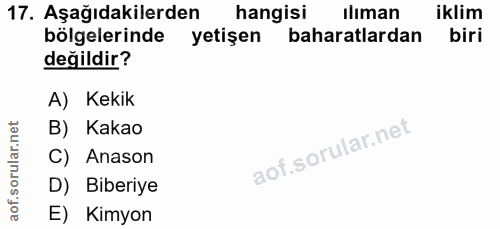 Soru 17