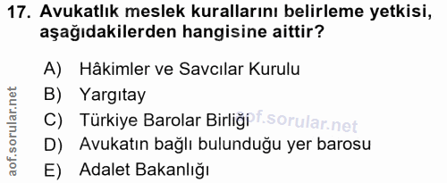 Soru 17
