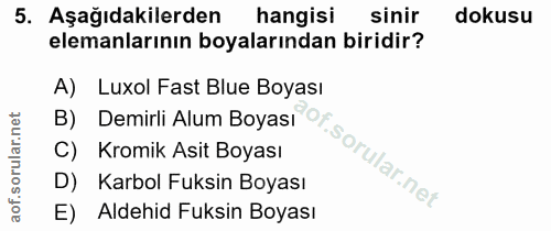 Soru 5