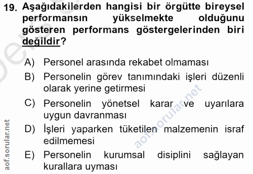 Soru 19