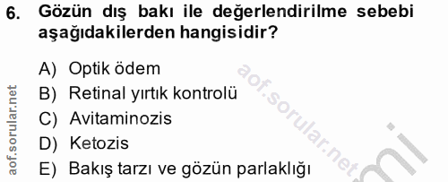 Soru 6