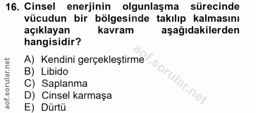 Soru 16