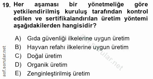 Soru 19