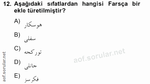 Soru 12
