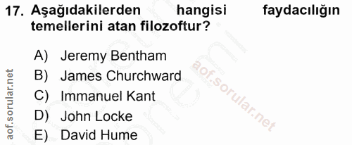Soru 17