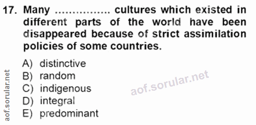 Soru 17