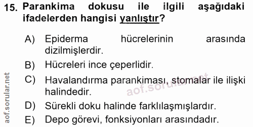 Soru 15