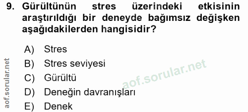 Soru 9