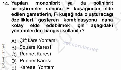 Soru 14