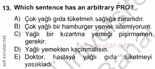 Soru 13