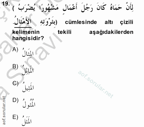 Soru 19
