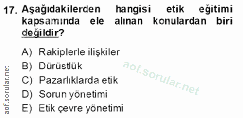 Soru 17