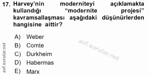 Soru 17