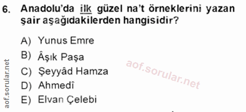 Soru 6