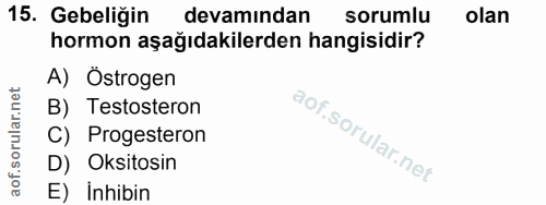 Soru 15