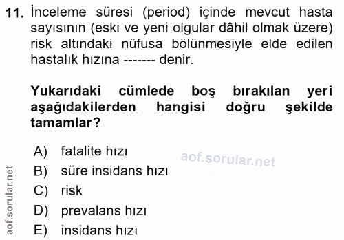Soru 11