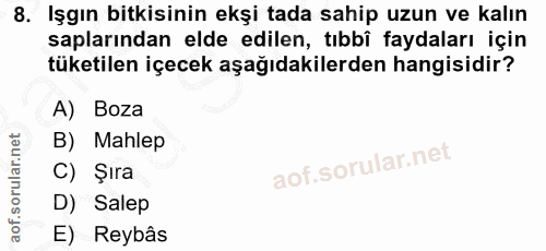 Soru 8