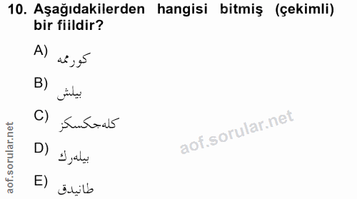 Soru 10