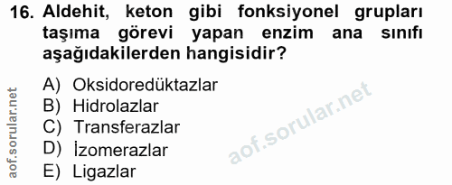 Soru 16