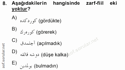 Soru 8
