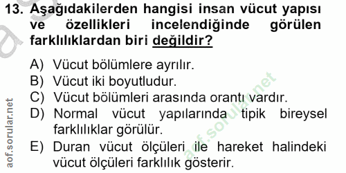 Soru 13