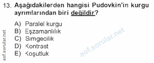 Soru 13