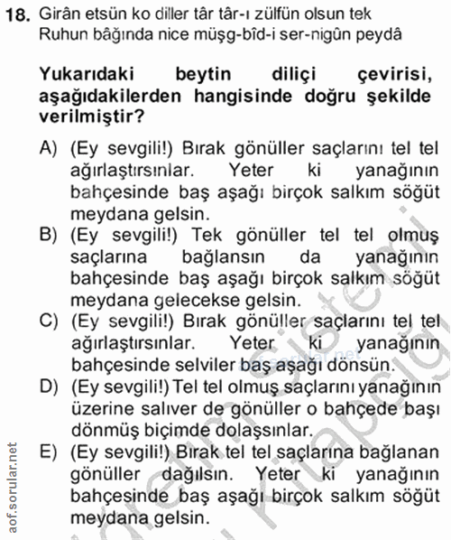 Soru 18