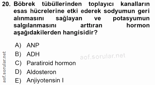 Soru 20