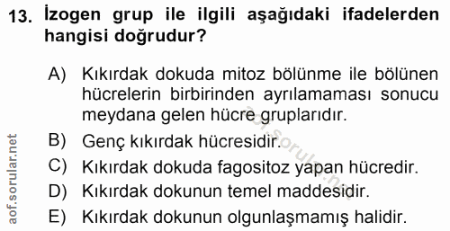 Soru 13