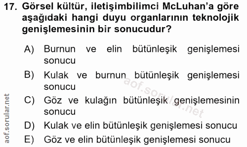 Soru 17