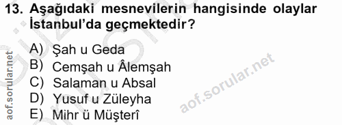 Soru 13