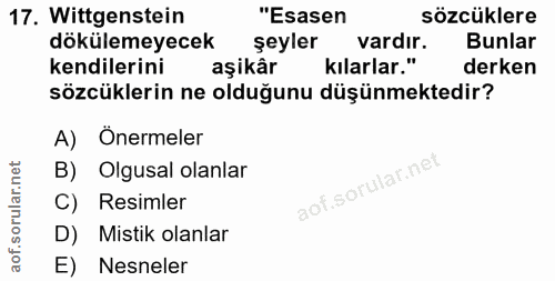 Soru 17