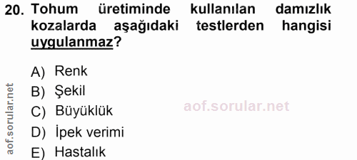 Soru 20