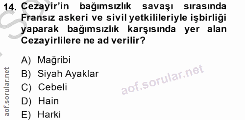 Soru 14