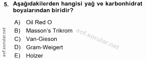 Soru 5