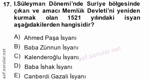 Soru 17