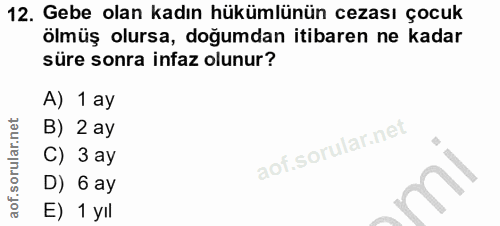 Soru 12