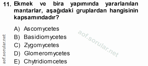 Soru 11
