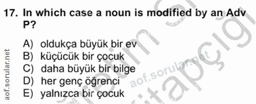 Soru 17