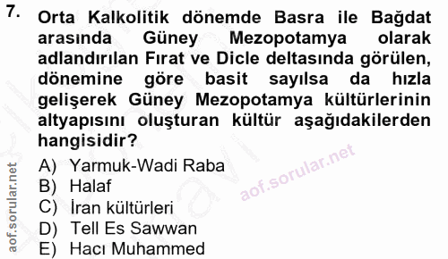 Soru 7