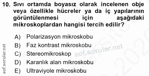Soru 10
